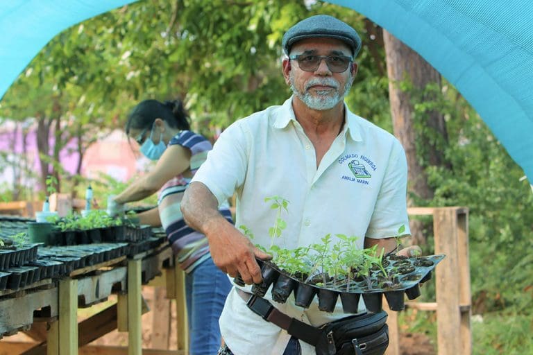Un Nuevo Amanecer Inc. cofounder Ramón Figueroa, hands full of fresh seedlings from the organization's community urban garden nursery.
